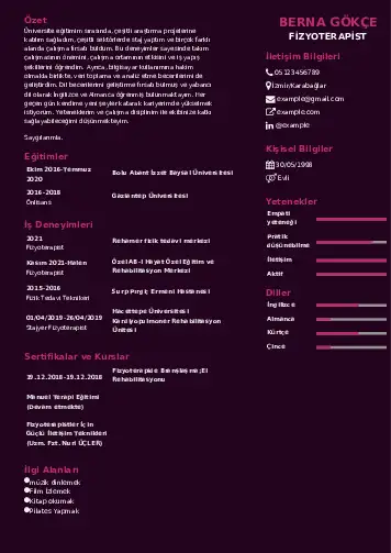 Fizyoterapist Cv Örnekleri cv indir